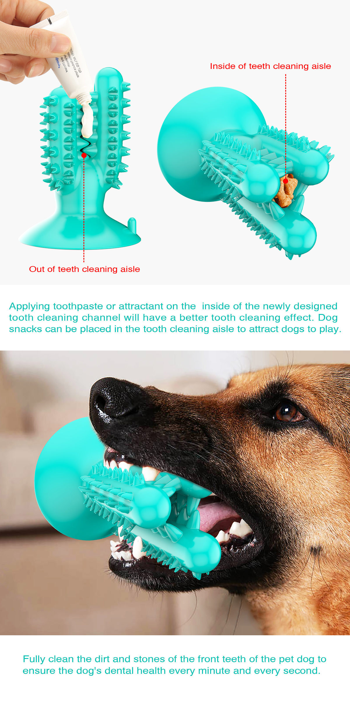 Pet Supplies New Amazon Hot Hot Sale Dog Toothbrush Dog Molar Rod Leakage Food Feeder Gnawing Resistant Dog Chew Toy Pet Supplies New Amazon Hot Hot Sale Dog Toothbrush Dog Molar Rod Leakage Food Feeder Gnawing Resistant Dog Chew Toy
