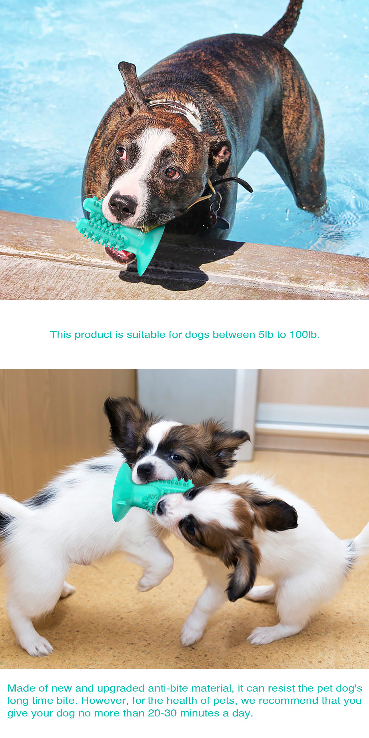 Pet Supplies New Amazon Hot Hot Sale Dog Toothbrush Dog Molar Rod Leakage Food Feeder Gnawing Resistant Dog Chew Toy Pet Supplies New Amazon Hot Hot Sale Dog Toothbrush Dog Molar Rod Leakage Food Feeder Gnawing Resistant Dog Chew Toy