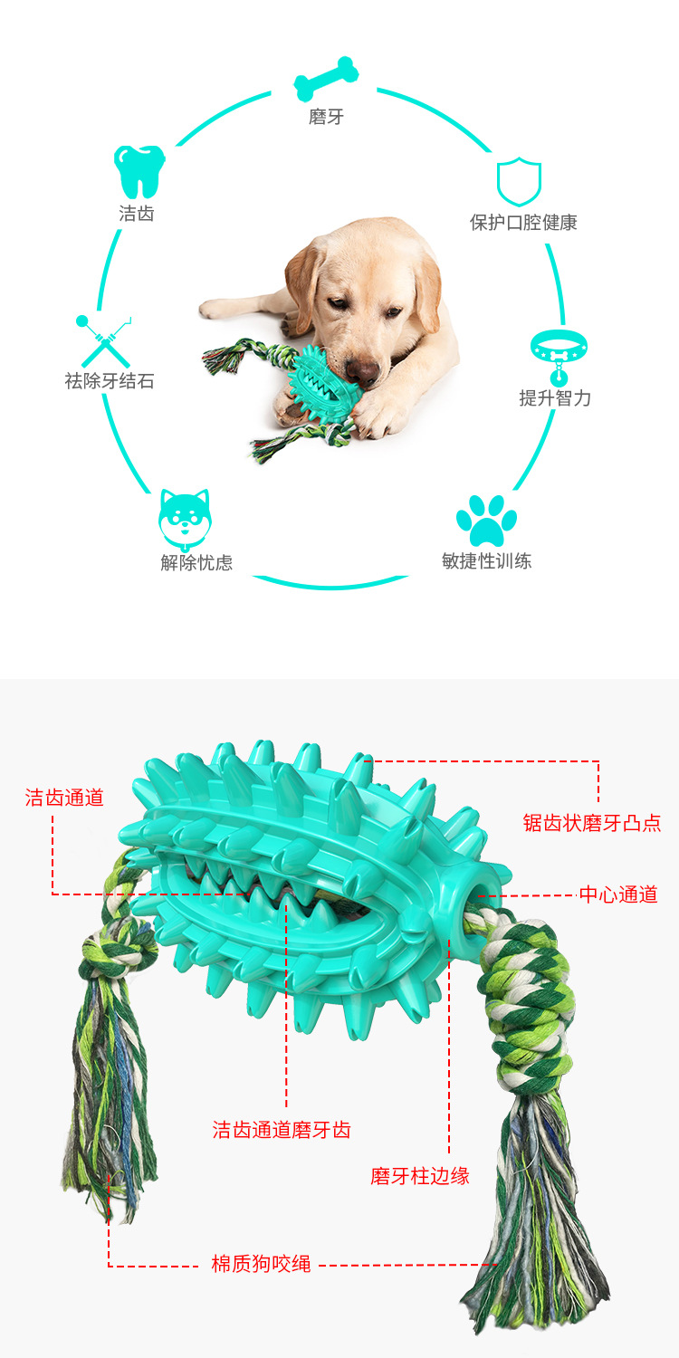 Pet Supplies New Amazon Hot Hot Sale Dog Toys with Rope Cactus Molar Rod Toothbrush Dog Chew Pet Supplies New Amazon Hot Hot Sale Dog Toys with Rope Cactus Molar Rod Toothbrush Dog Chew