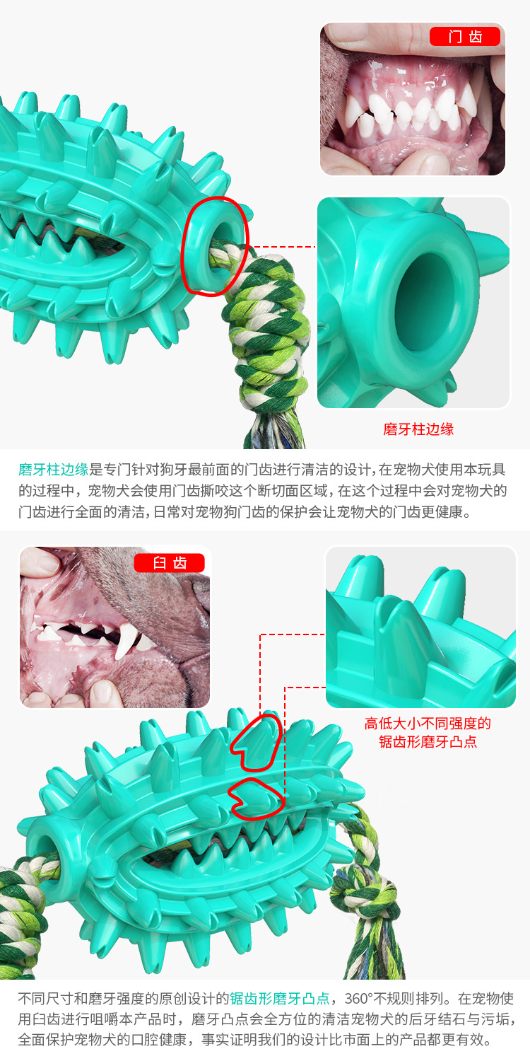 Pet Supplies New Amazon Hot Hot Sale Dog Toys with Rope Cactus Molar Rod Toothbrush Dog Chew Pet Supplies New Amazon Hot Hot Sale Dog Toys with Rope Cactus Molar Rod Toothbrush Dog Chew