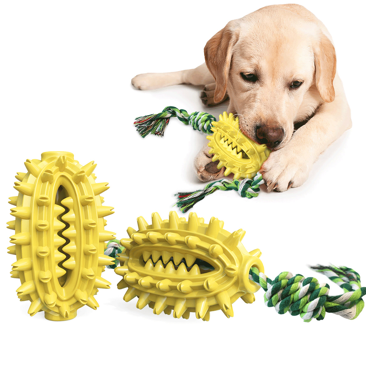 Pet Supplies New Amazon Hot Hot Sale Dog Toys with Rope Cactus Molar Rod Toothbrush Dog Chew Pet Supplies New Amazon Hot Hot Sale Dog Toys with Rope Cactus Molar Rod Toothbrush Dog Chew