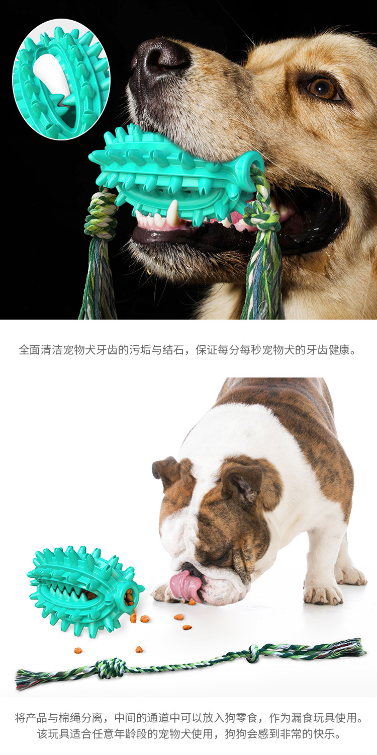 Pet Supplies New Amazon Hot Hot Sale Dog Toys with Rope Cactus Molar Rod Toothbrush Dog Chew Pet Supplies New Amazon Hot Hot Sale Dog Toys with Rope Cactus Molar Rod Toothbrush Dog Chew