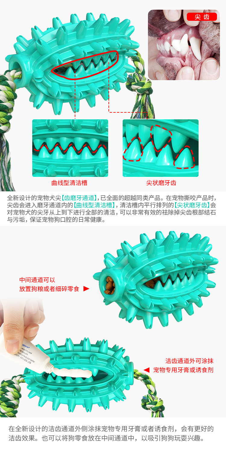 Pet Supplies New Amazon Hot Hot Sale Dog Toys with Rope Cactus Molar Rod Toothbrush Dog Chew Pet Supplies New Amazon Hot Hot Sale Dog Toys with Rope Cactus Molar Rod Toothbrush Dog Chew