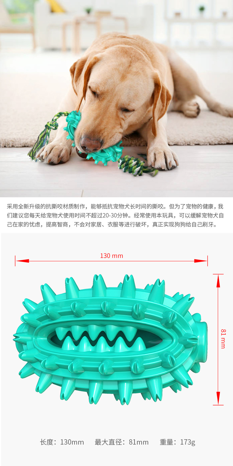 Pet Supplies New Amazon Hot Hot Sale Dog Toys with Rope Cactus Molar Rod Toothbrush Dog Chew Pet Supplies New Amazon Hot Hot Sale Dog Toys with Rope Cactus Molar Rod Toothbrush Dog Chew