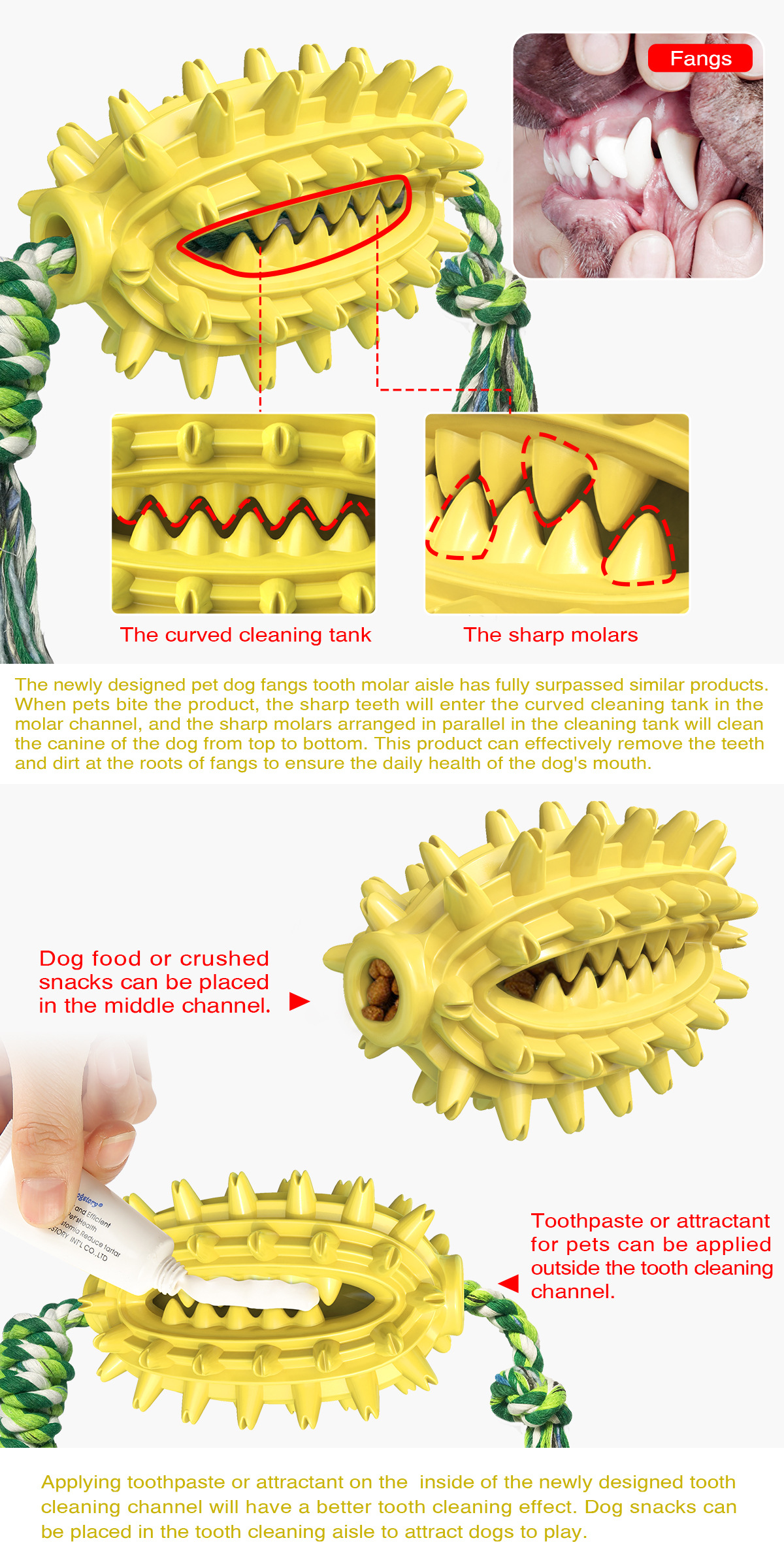 Pet Supplies New Amazon Hot Hot Sale Dog Toys with Rope Cactus Molar Rod Toothbrush Dog Chew Pet Supplies New Amazon Hot Hot Sale Dog Toys with Rope Cactus Molar Rod Toothbrush Dog Chew