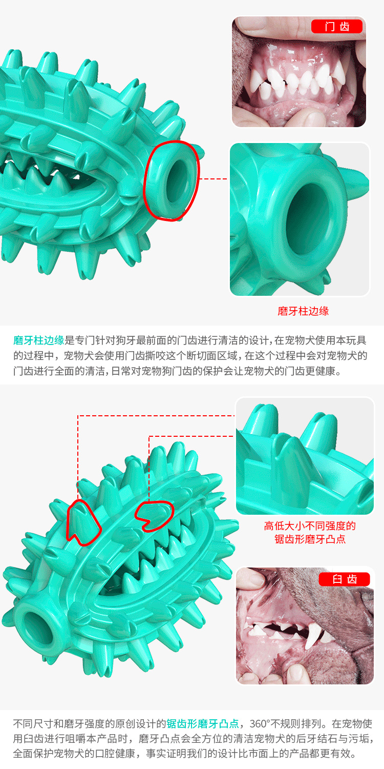 Pet Supplies New Amazon Hot Hot Sale Dog Toys Cactus Molar Rod Toothbrush Dog Chew Toys Pet Supplies New Amazon Hot Hot Sale Dog Toys Cactus Molar Rod Toothbrush Dog Chew Toys