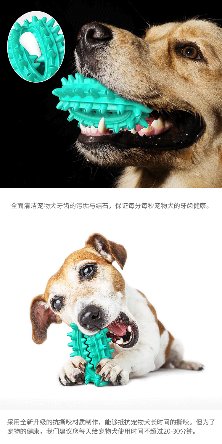 Pet Supplies New Amazon Hot Hot Sale Dog Toys Cactus Molar Rod Toothbrush Dog Chew Toys Pet Supplies New Amazon Hot Hot Sale Dog Toys Cactus Molar Rod Toothbrush Dog Chew Toys