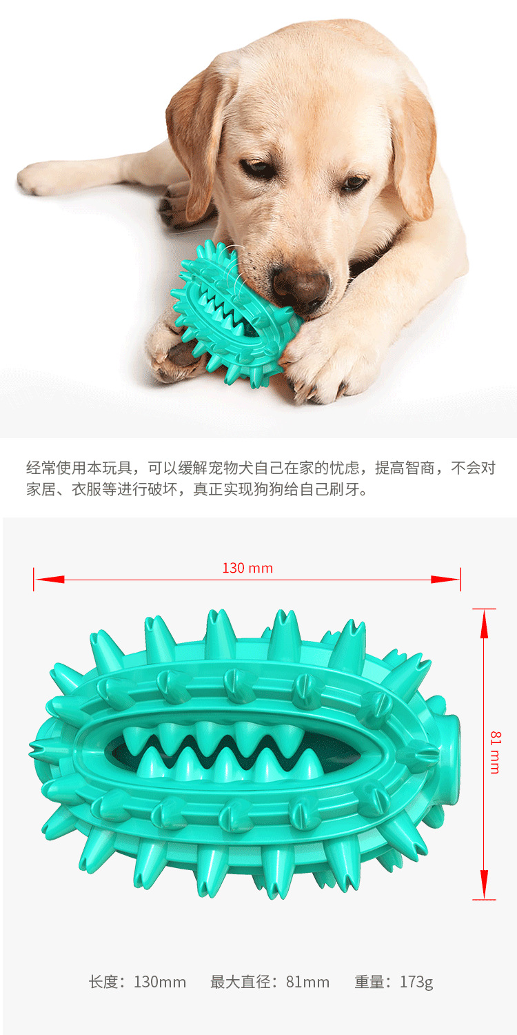 Pet Supplies New Amazon Hot Hot Sale Dog Toys Cactus Molar Rod Toothbrush Dog Chew Toys Pet Supplies New Amazon Hot Hot Sale Dog Toys Cactus Molar Rod Toothbrush Dog Chew Toys