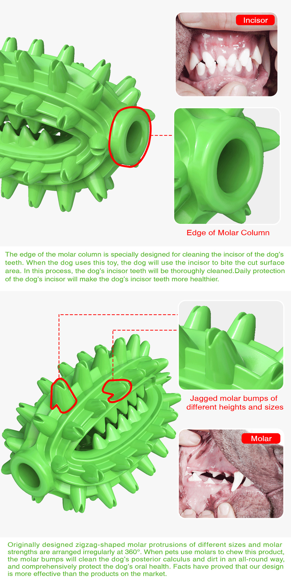Pet Supplies New Amazon Hot Hot Sale Dog Toys Cactus Molar Rod Toothbrush Dog Chew Toys Pet Supplies New Amazon Hot Hot Sale Dog Toys Cactus Molar Rod Toothbrush Dog Chew Toys