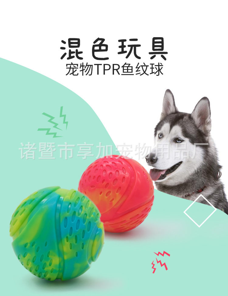 New Bite Sound Dog Toy Ball Dog Chew Toy TPR Rubber Fish Pattern Ball Pet Toy 8cm Customized Manufacturer New Bite Sound Dog Toy Ball Dog Chew Toy TPR Rubber Fish Pattern Ball Pet Toy 8cm Customized Manufacturer