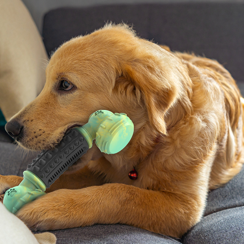 Amazon New Pet Supplies Nylon Bone Dog Chew Toy Simulation Phone Rubber Bite-Resistant Molar Teeth Cleaning