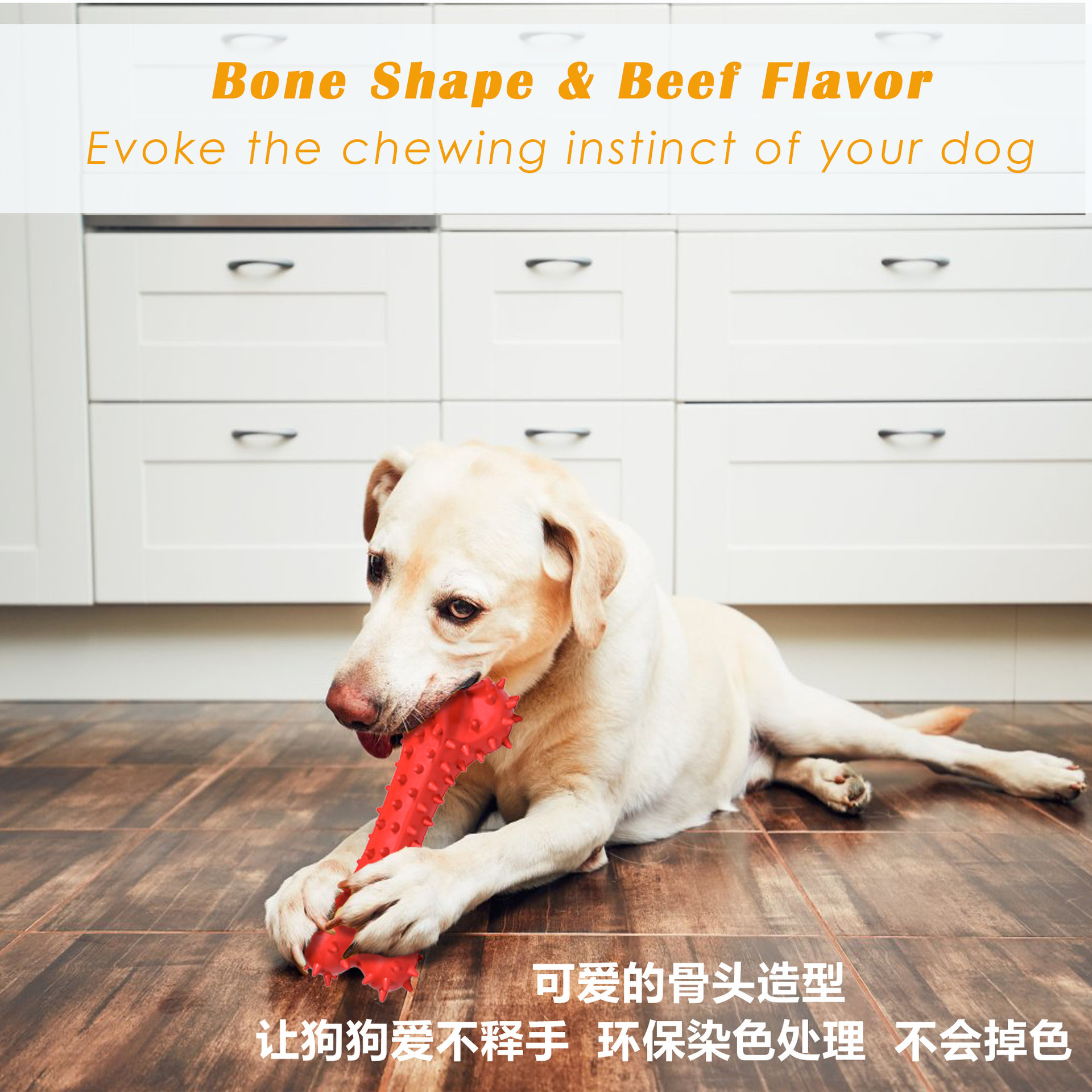 Pet the Toy Dog Bite Molar the Toy Dog Dog Chew Chew Dog the Toy Dog Dog Cleaning Teeth Brushing Molar Rod Pet the Toy Dog Bite Molar the Toy Dog Dog Chew Chew Dog the Toy Dog Dog Cleaning Teeth Brushing Molar Rod