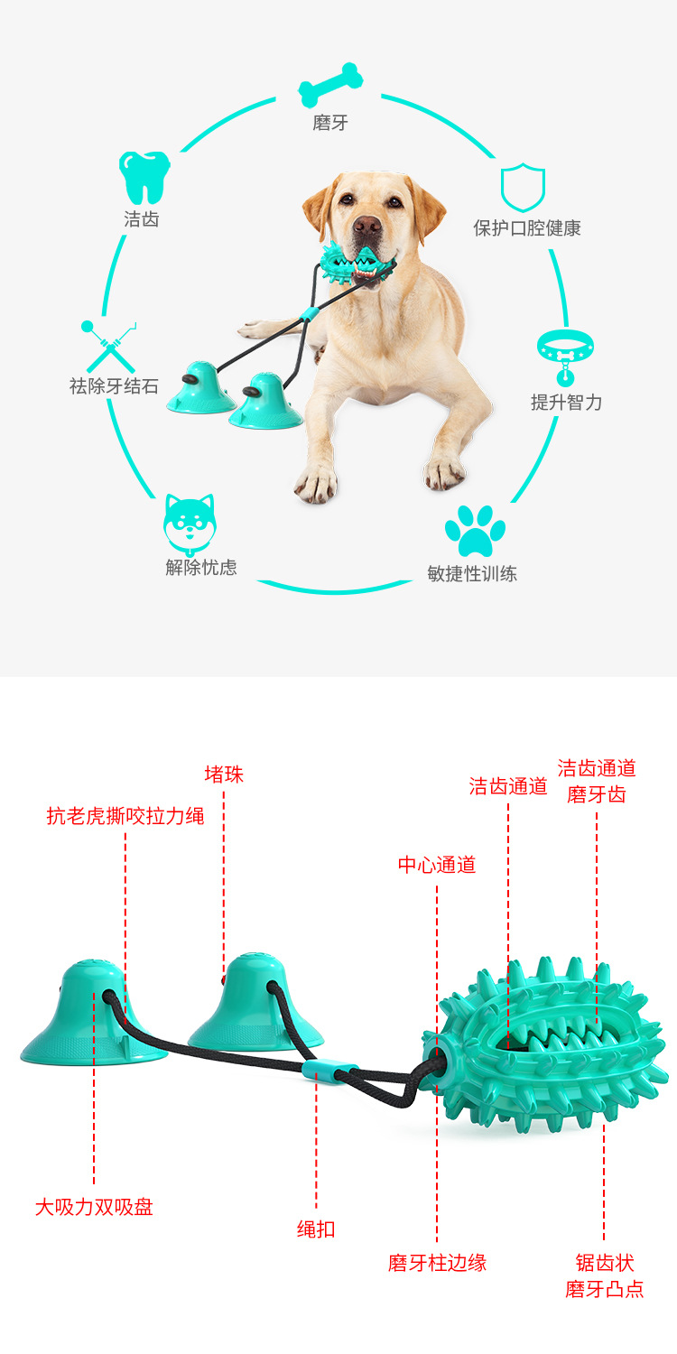 Pet Supplies New Amazon Hot Hot Sale Dog Toy Double Suction Cup Cactus Molar Rod Dog Chew Pet Supplies New Amazon Hot Hot Sale Dog Toy Double Suction Cup Cactus Molar Rod Dog Chew