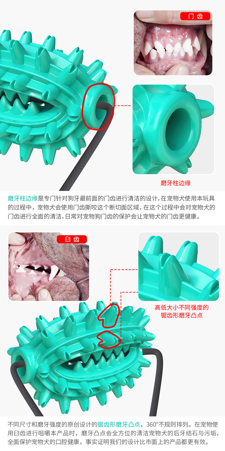Pet Supplies New Amazon Hot Hot Sale Dog Toy Double Suction Cup Cactus Molar Rod Dog Chew Pet Supplies New Amazon Hot Hot Sale Dog Toy Double Suction Cup Cactus Molar Rod Dog Chew