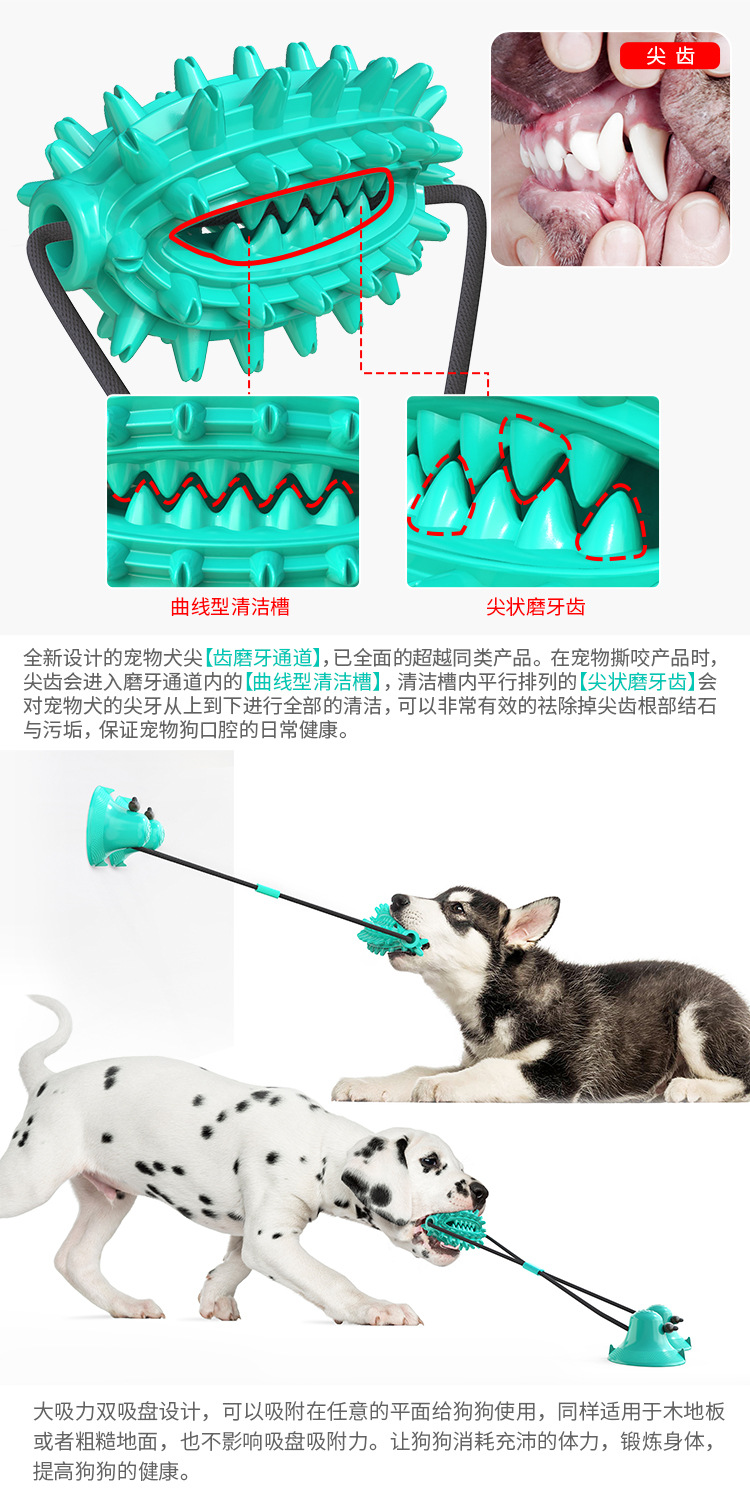Pet Supplies New Amazon Hot Hot Sale Dog Toy Double Suction Cup Cactus Molar Rod Dog Chew Pet Supplies New Amazon Hot Hot Sale Dog Toy Double Suction Cup Cactus Molar Rod Dog Chew