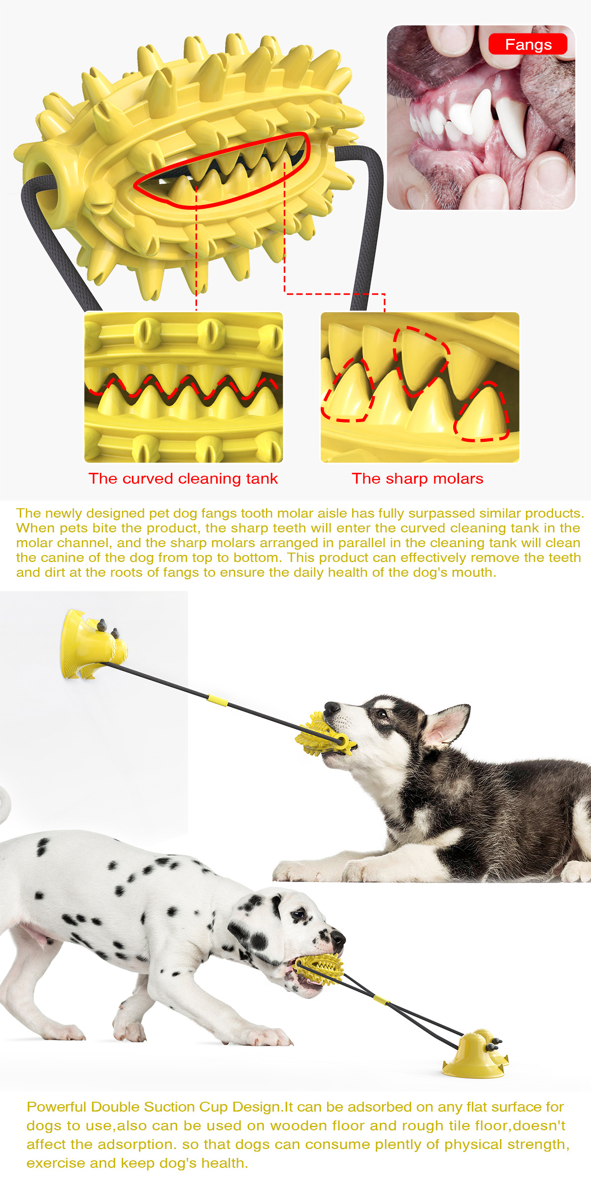 Pet Supplies New Amazon Hot Hot Sale Dog Toy Double Suction Cup Cactus Molar Rod Dog Chew Pet Supplies New Amazon Hot Hot Sale Dog Toy Double Suction Cup Cactus Molar Rod Dog Chew