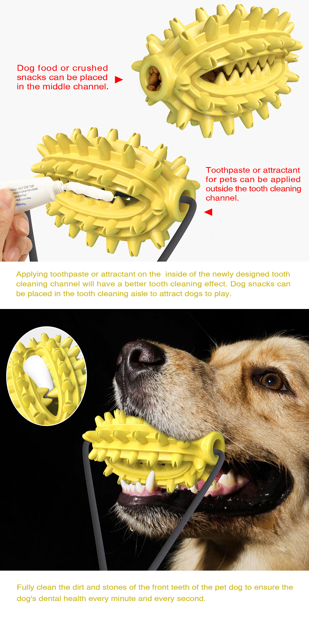 Pet Supplies New Amazon Hot Hot Sale Dog Toy Double Suction Cup Cactus Molar Rod Dog Chew Pet Supplies New Amazon Hot Hot Sale Dog Toy Double Suction Cup Cactus Molar Rod Dog Chew