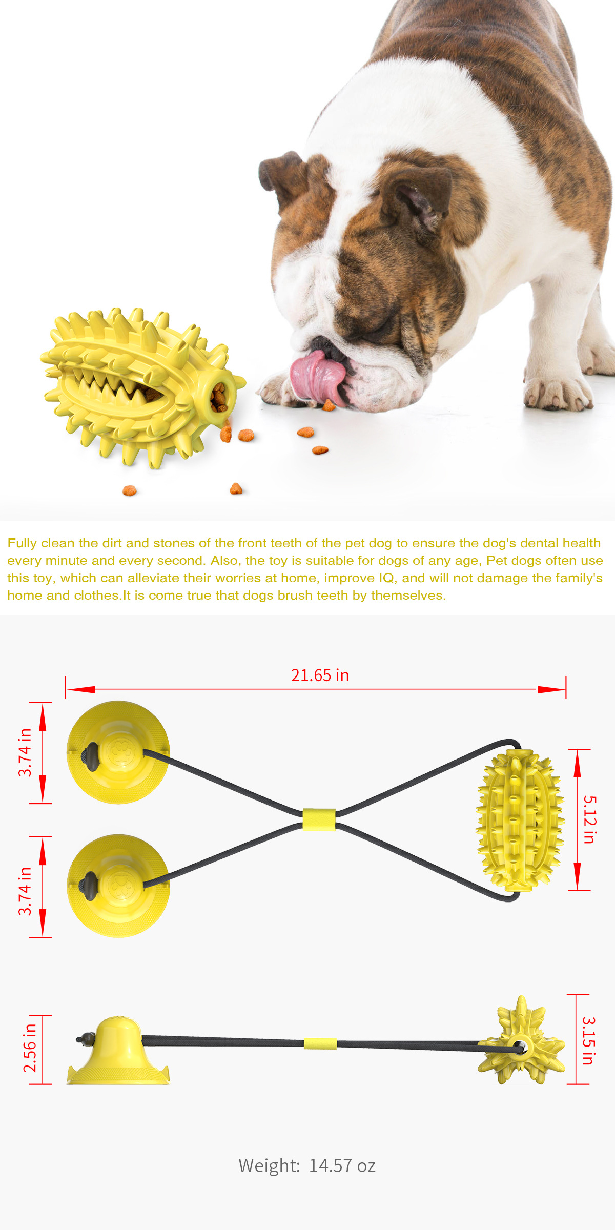 Pet Supplies New Amazon Hot Hot Sale Dog Toy Double Suction Cup Cactus Molar Rod Dog Chew Pet Supplies New Amazon Hot Hot Sale Dog Toy Double Suction Cup Cactus Molar Rod Dog Chew