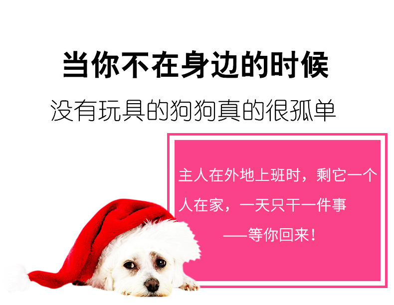 Pet Non-Pouring Glue Dog Bite Relieving Stuffy Molar Toy Dog Chew Educational Training Dog Toy Manufacturer