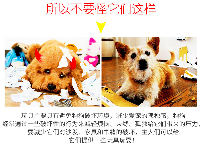 Pet Non-Pouring Glue Dog Bite Relieving Stuffy Molar Toy Dog Chew Educational Training Dog Toy Manufacturer