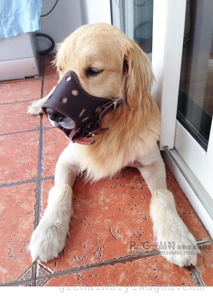 Muzzle protection for dogs Small dog Muzzle protection for dogs medium dog Muzzle mask for large dogs Muzzle protection for dogs Small dog Muzzle protection for dogs medium dog Muzzle mask for large dogs