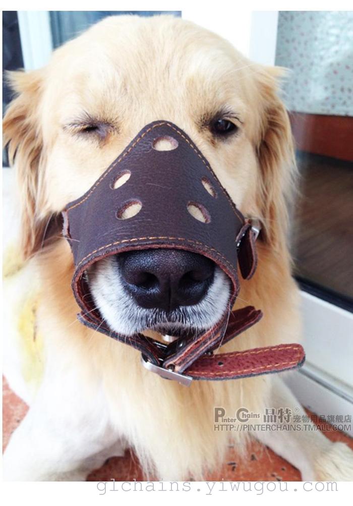 Muzzle protection for dogs Small dog Muzzle protection for dogs medium dog Muzzle mask for large dogs Muzzle protection for dogs Small dog Muzzle protection for dogs medium dog Muzzle mask for large dogs