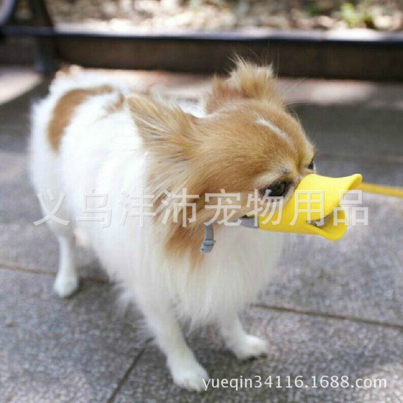 Pet supplies dog muzzle silicone beak in dog-bite-proof mask a mask called the little Queen Pet supplies dog muzzle silicone beak in dog-bite-proof mask a mask called the little Queen