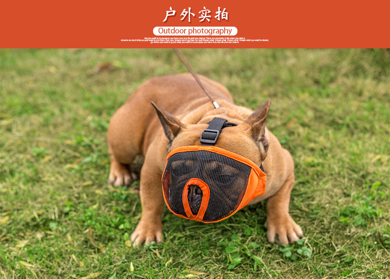 Amazon Cross-Border Factory Direct Supply Bulldog Eye Mask Short Nasal Cavity Dog Mask Dog Anti-Bite/Anti-Bark Muzzle Amazon Cross-Border Factory Direct Supply Bulldog Eye Mask Short Nasal Cavity Dog Mask Dog Anti-Bite/Anti-Bark Muzzle