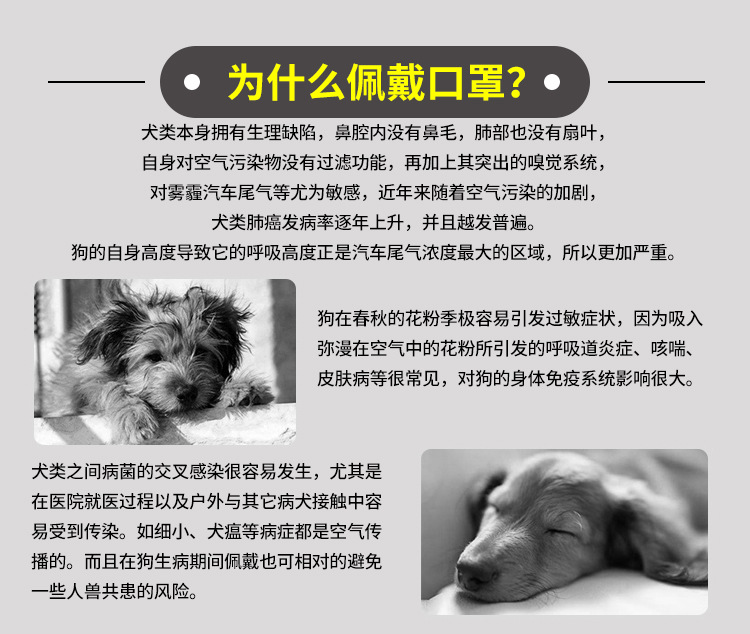 Pet anti-haze mask protection dog muzzle protection Pet travel supplies dog dust mask for healthy travel Pet anti-haze mask protection dog muzzle protection Pet travel supplies dog dust mask for healthy travel