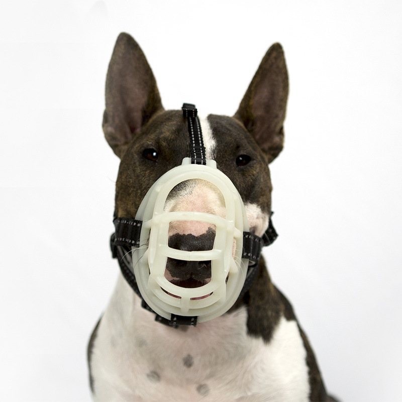 Amazon New Fluorescent Silicone Muzzle for Dogs Pet Supplies Dog Muzzle Adjustable Breathable Anti-Bite/Anti-Bark Muzzle