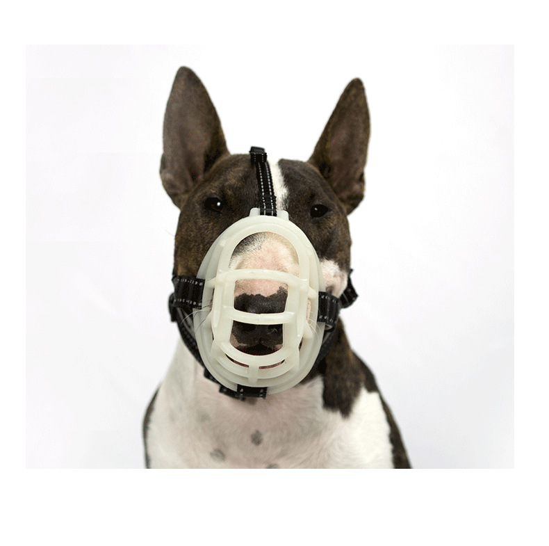 Amazon New Fluorescent Silicone Muzzle for Dogs Pet Supplies Dog Muzzle Adjustable Breathable Anti-Bite/Anti-Bark Muzzle