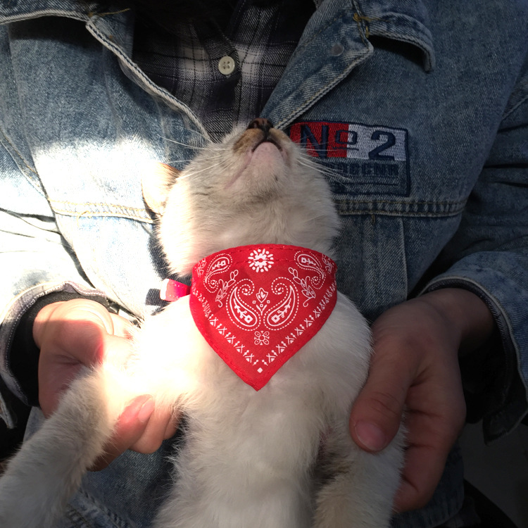Factory Wholesale Pet Triangular Scarf Dog Scarf Scarf Pet Collar Bib Bib Dog Collar Pet Supplies Factory Wholesale Pet Triangular Scarf Dog Scarf Scarf Pet Collar Bib Bib Dog Collar Pet Supplies
