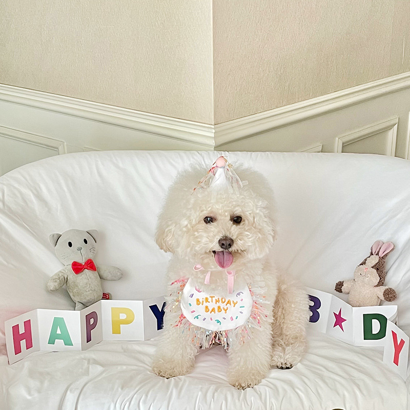 Korean Dog Dog Party Bib Pet Birthday Saliva Towel Bichon Triangular Binder Scarf Cat Pets Korean Dog Dog Party Bib Pet Birthday Saliva Towel Bichon Triangular Binder Scarf Cat Pets