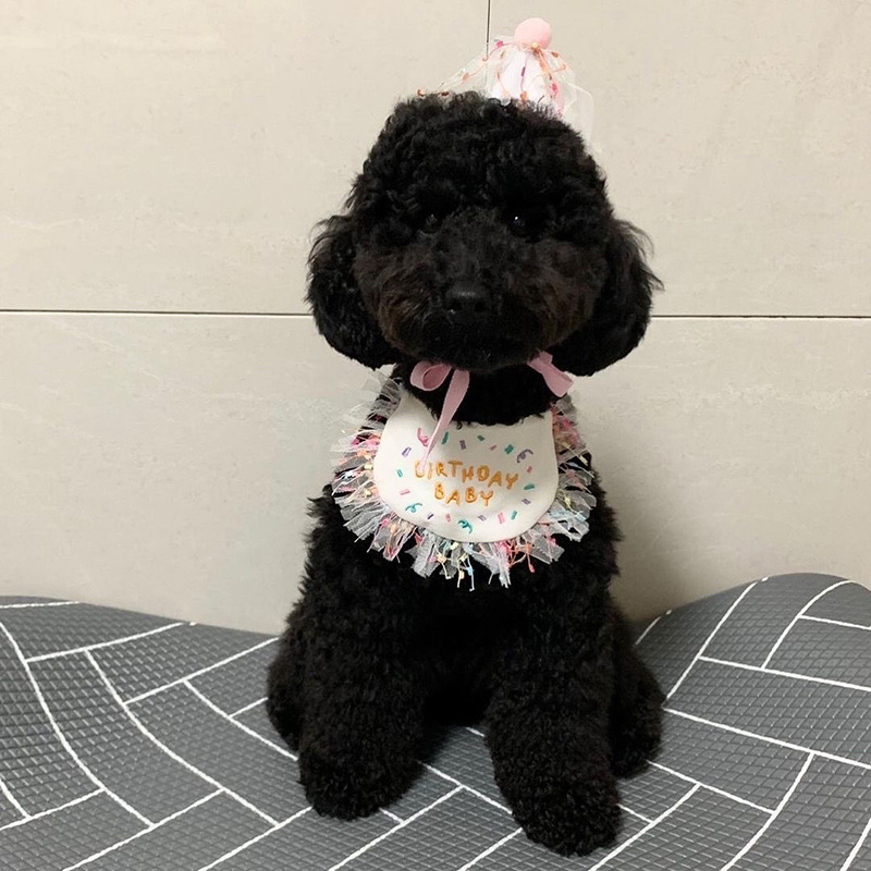 Korean Dog Dog Party Bib Pet Birthday Saliva Towel Bichon Triangular Binder Scarf Cat Pets Korean Dog Dog Party Bib Pet Birthday Saliva Towel Bichon Triangular Binder Scarf Cat Pets