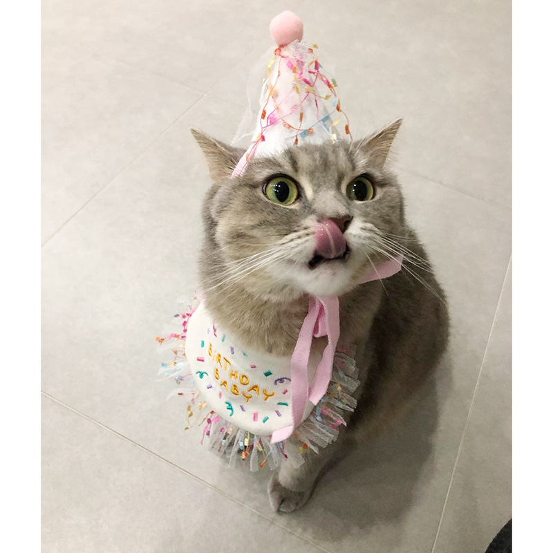 Korean Dog Dog Party Bib Pet Birthday Saliva Towel Bichon Triangular Binder Scarf Cat Pets Korean Dog Dog Party Bib Pet Birthday Saliva Towel Bichon Triangular Binder Scarf Cat Pets