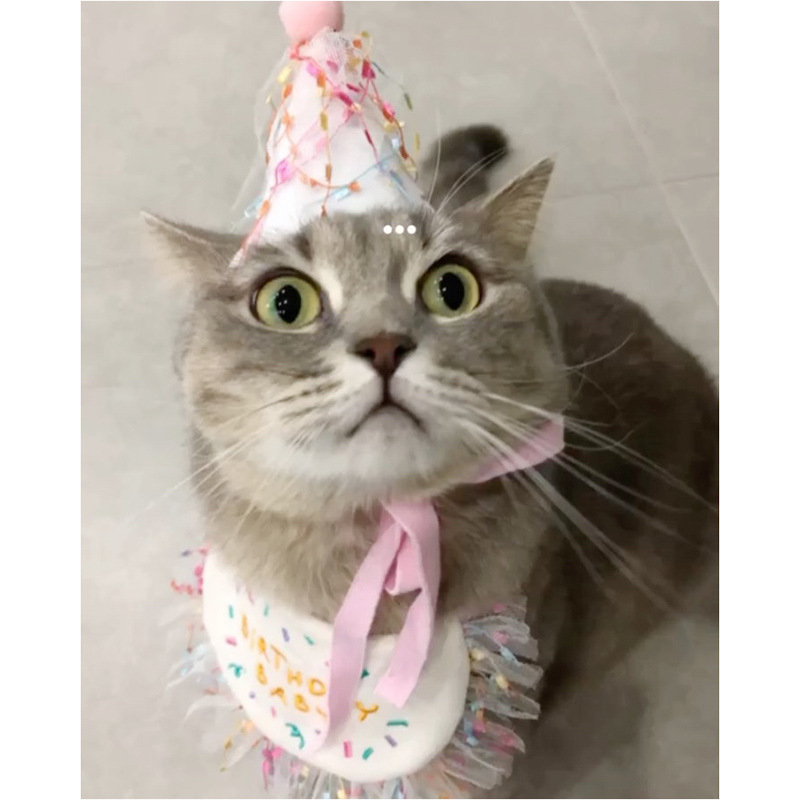 Korean Dog Dog Party Bib Pet Birthday Saliva Towel Bichon Triangular Binder Scarf Cat Pets Korean Dog Dog Party Bib Pet Birthday Saliva Towel Bichon Triangular Binder Scarf Cat Pets