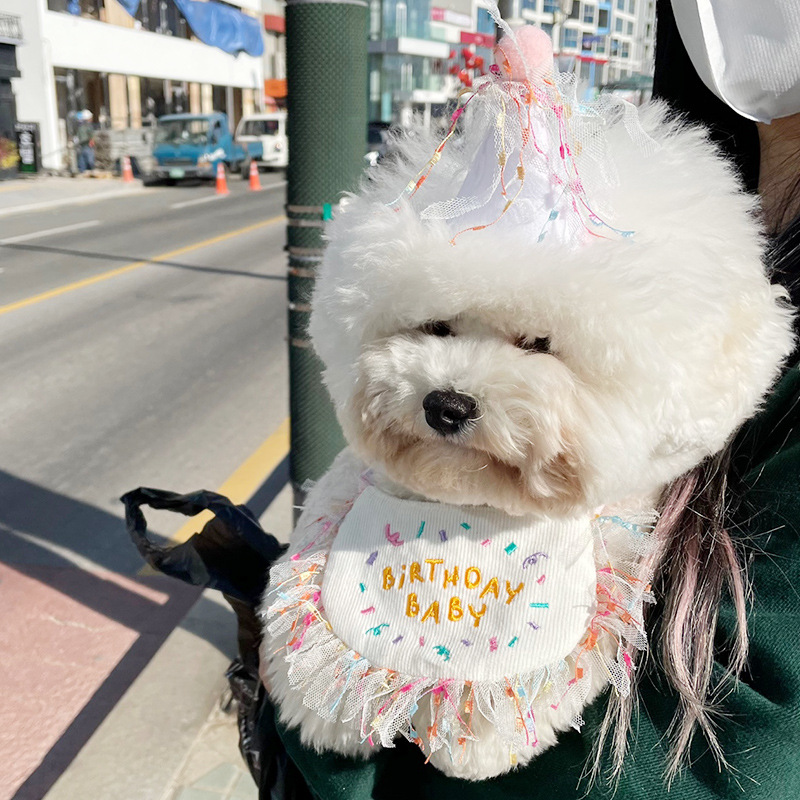 Korean Dog Dog Party Bib Pet Birthday Saliva Towel Bichon Triangular Binder Scarf Cat Pets Korean Dog Dog Party Bib Pet Birthday Saliva Towel Bichon Triangular Binder Scarf Cat Pets