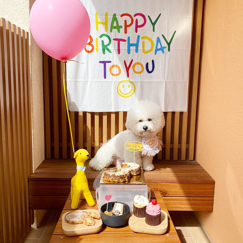 Korean Dog Dog Party Bib Pet Birthday Saliva Towel Bichon Triangular Binder Scarf Cat Pets Korean Dog Dog Party Bib Pet Birthday Saliva Towel Bichon Triangular Binder Scarf Cat Pets
