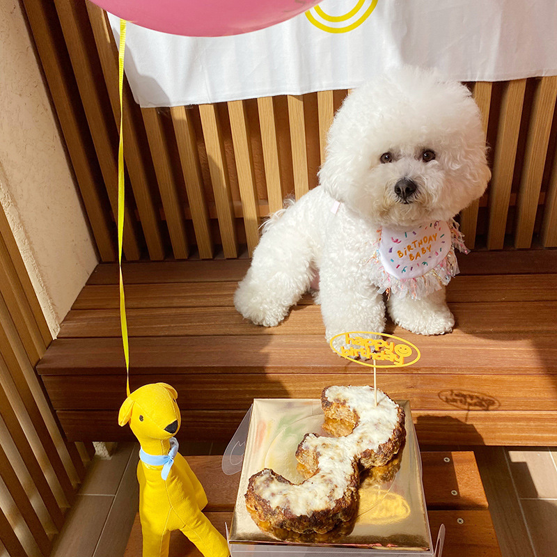 Korean Dog Dog Party Bib Pet Birthday Saliva Towel Bichon Triangular Binder Scarf Cat Pets Korean Dog Dog Party Bib Pet Birthday Saliva Towel Bichon Triangular Binder Scarf Cat Pets