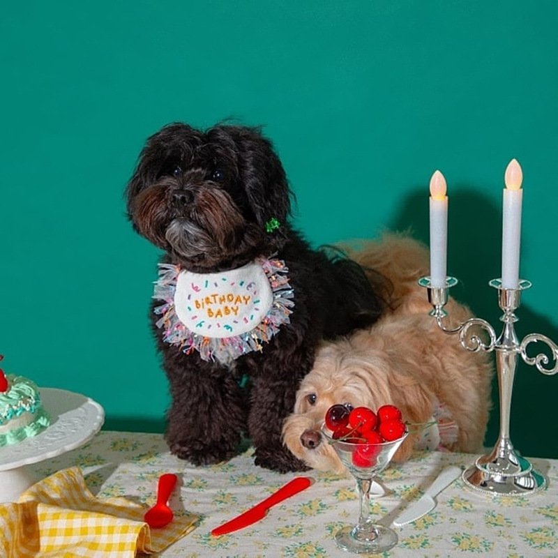 Korean Dog Dog Party Bib Pet Birthday Saliva Towel Bichon Triangular Binder Scarf Cat Pets Korean Dog Dog Party Bib Pet Birthday Saliva Towel Bichon Triangular Binder Scarf Cat Pets