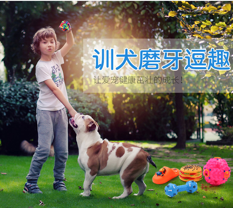 Dog Toy Molar Training Teddy/Golden Retriever Vocalization Bite-Resistant Toy Strange Food Dropping Ball Set Pet Supplies