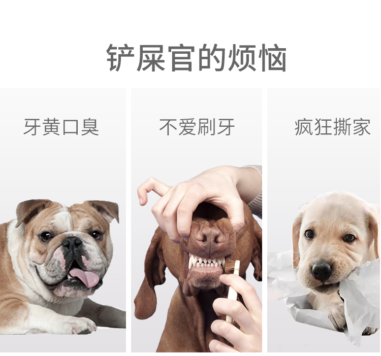 One Piece Dropshipping Pet Dog EVA Training Frisbee Dog Training Pull Ring Bite-Resistant Molar Pet Ball Floating Water Toy