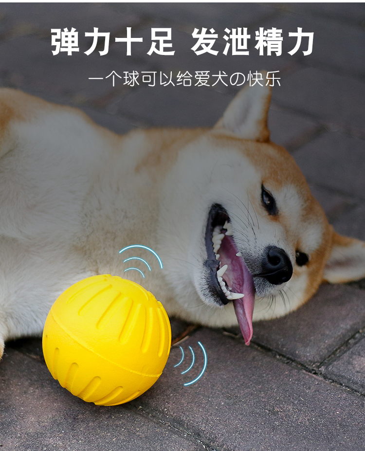 One Piece Dropshipping Pet Dog EVA Training Frisbee Dog Training Pull Ring Bite-Resistant Molar Pet Ball Floating Water Toy
