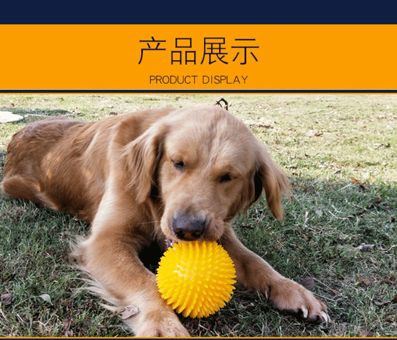 Cross-Border Hot Sale Pet Supplies Bite Vocal Toy Ball Dog Bite-Resistant Elastic Ball Dog Bite Toy Acanthosphere Cross-Border Hot Sale Pet Supplies Bite Vocal Toy Ball Dog Bite-Resistant Elastic Ball Dog Bite Toy Acanthosphere