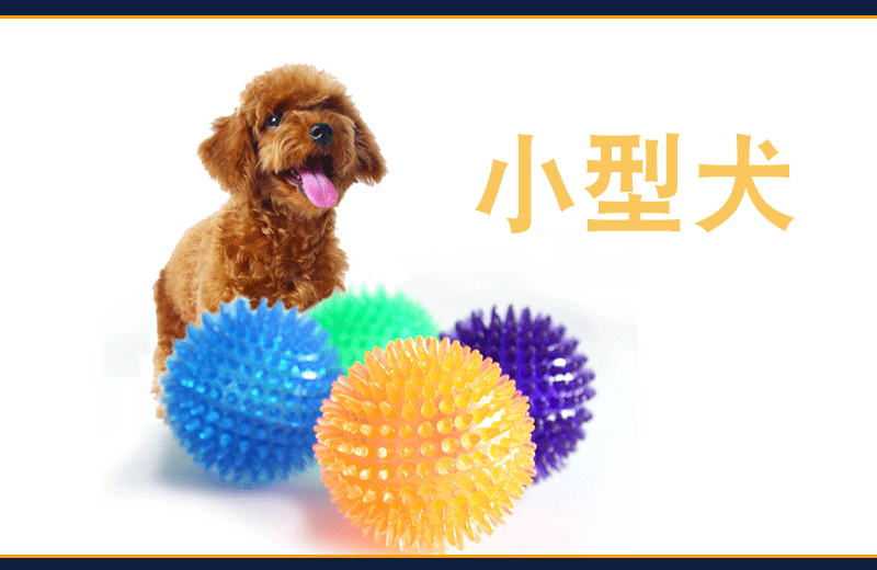 Cross-Border Hot Sale Pet Supplies Bite Vocal Toy Ball Dog Bite-Resistant Elastic Ball Dog Bite Toy Acanthosphere Cross-Border Hot Sale Pet Supplies Bite Vocal Toy Ball Dog Bite-Resistant Elastic Ball Dog Bite Toy Acanthosphere