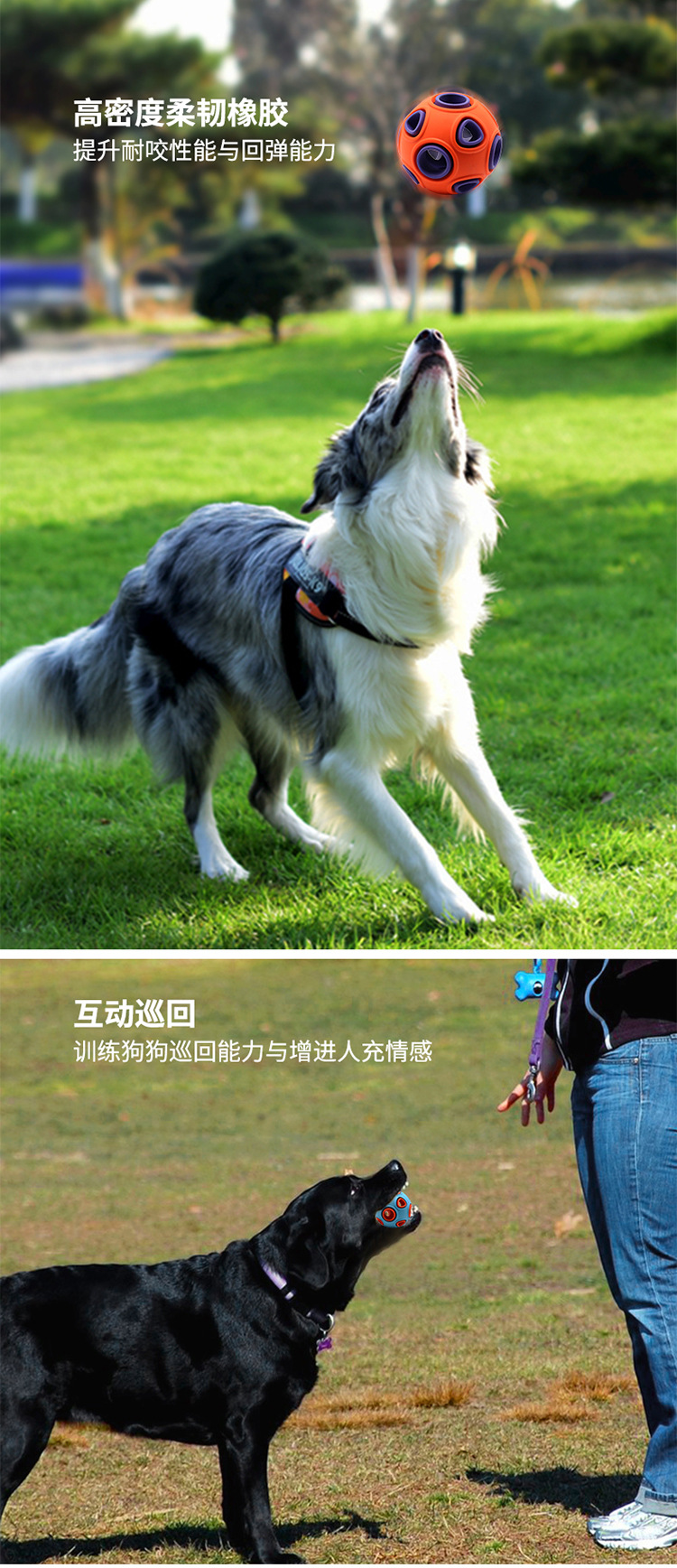 Exclusive for Cross-Border Pet Toy Dog Bite-Resistant Toy Ball Ringing Sound Molar Training Ball Pet Supplies Wholesale