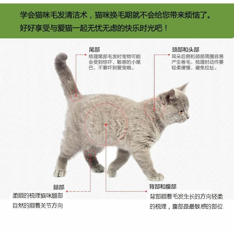 Cat Comb Hair Removal Comb Floating Hair Cat Hair Hair Removal Cleaner Pet Comb Cat Comb Cat Brush Dog Comb Cat Supplies