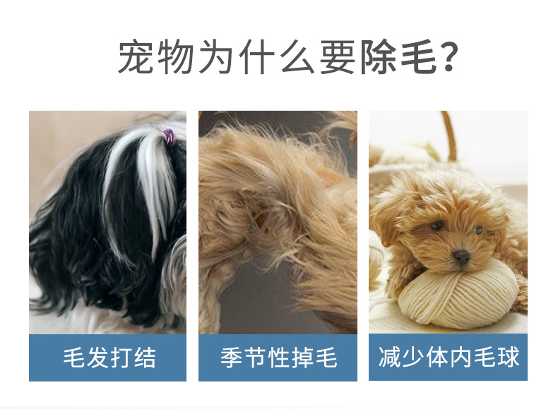 Pet Comb Dog Hair Brush Pet Self-Cleaning Needle Comb Small and Medium Dogs Automatic Hair Removal Comb Cat Hair Comb Factory Direct Sales Pet Comb Dog Hair Brush Pet Self-Cleaning Needle Comb Small and Medium Dogs Automatic Hair Removal Comb Cat Hair Comb Factory Direct Sales
