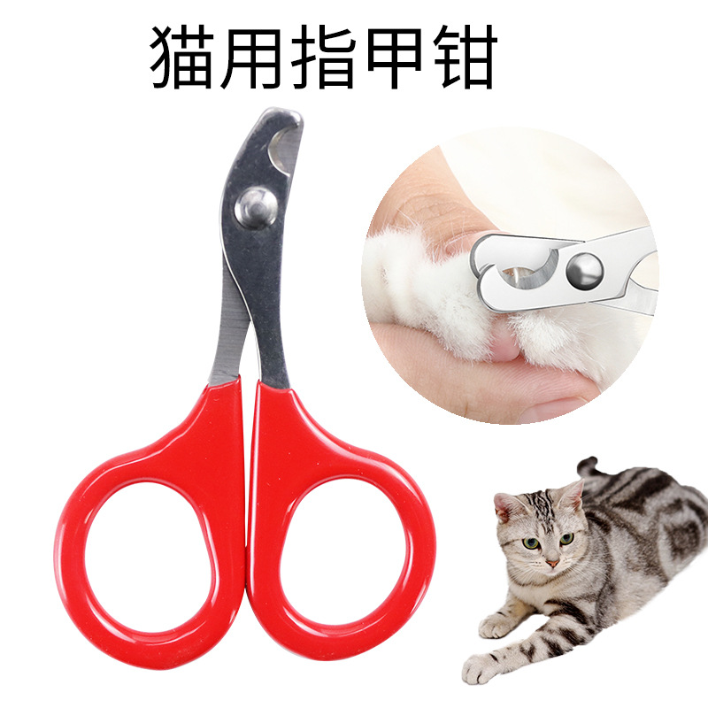 Pet Supplies Amazon Hot Cat Nail Scissors Stainless Steel Small Pet Nail Clipper Nail Scissors Cat Beauty Tools
