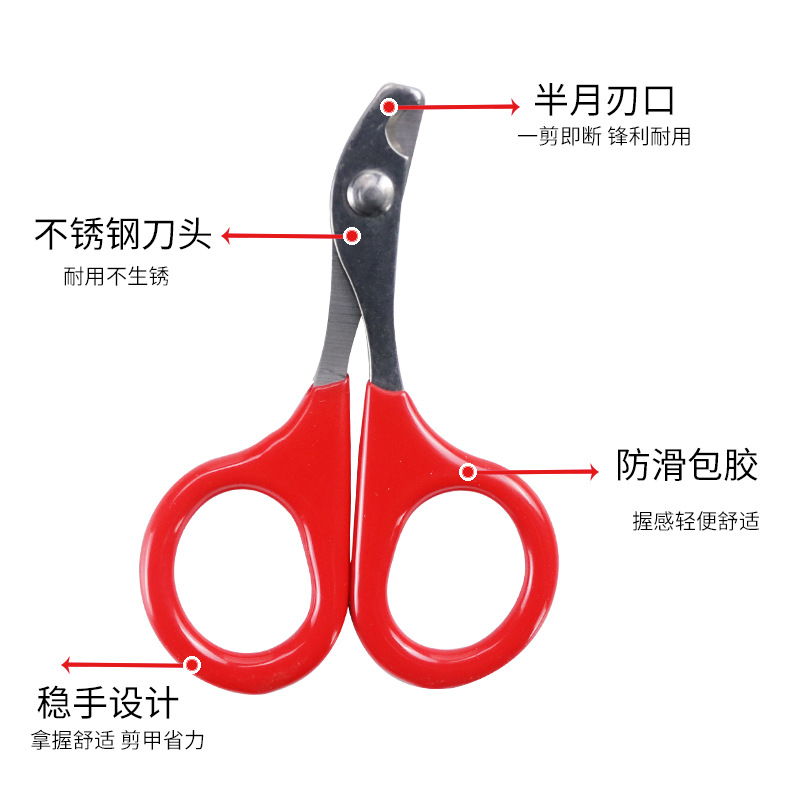 Pet Supplies Amazon Hot Cat Nail Scissors Stainless Steel Small Pet Nail Clipper Nail Scissors Cat Beauty Tools